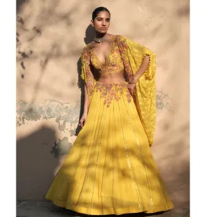 Aurelian Cape Lehenga Set